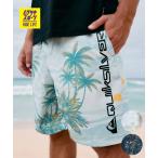 QUIKSILVER Quick Silver купальный костюм море хлеб трусы шорты для серфинга мужской вода суша обе для QBS262005