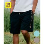 QUIKSILVER Quick Silver купальный костюм море хлеб трусы шорты для серфинга мужской вода суша обе для QBS262008