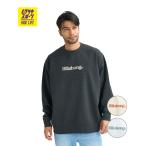 ショッピングビラボン BILLABONG ビラボン トレーナー スウェット メンズ シンプル TITLE BG011003