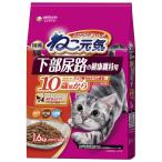 猫用ドライフード