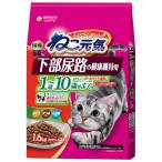 猫用ドライフード