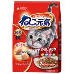 猫用ドライフード