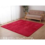 IKEHIKO イケヒコ  ラグ カーペット マット 珊瑚マイヤ 洗える 滑りにくい レッド 約200×300cm 5705649