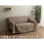 IKEHIKO イケヒコ  マルチカバー おしゃれ 洗える 長方形 約190×240cm ベージュ 綿 雲 水洗いキルト リバーシブル 4973939