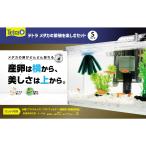 その他水槽