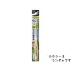 EBiSU エビス 子供ハブラシ いないいないばあっ！  仕上げ磨き用 1本 B-6373