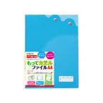  Япония Note having лягушка файл A4 голубой SE02B