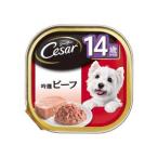 MARS マースジャパンリミテッド シーザー 14歳からの 吟選ビーフ 100g