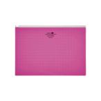 LIHIT LAB./lihi тигр b clear кейс A4 широкий красный A4 штамп F-5303-3 красный 