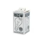 TAKAGI 高儀 耐震球クリアタイプ 100W