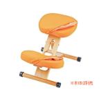 MIYATAKE.. завод пропорция стул изменение покрытие сиденье . колени 2 шт. комплект orange CV-8KOR