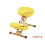 MIYATAKE.. завод пропорция стул изменение покрытие сиденье . колени 2 шт. комплект лимон CV-8KLE