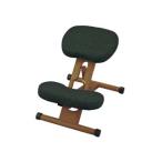 MIYATAKE.. завод осанка . правильно сохраняет стул пропорция стул CH-DBR88WBK темный черный 