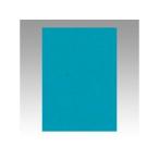 文運堂/ぶんうんどう 色画用紙 ニューカラー 4切 あさぎいろ 4NCR-326 四ツ切 縦542×横392mm