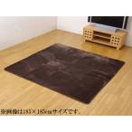 IKEHIKO イケヒコ  水分をはじく 撥水加工カーペット   撥水リラCE  ブラウン 185×185cm 3948169