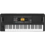 KORG/コルグ  EK-50　【ENTERTAINER KEYBOARD/エンターテイナー・キーボード】【61鍵】