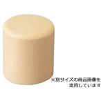 O.H. オーエッチ工業 プラハンマー替ヘッド 1個入 PL-10HSP