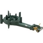 　 TS-210バーナー丈LP