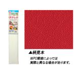 ASAHIPEN Asahi авторучка ограниченное количество craft сиденье CS-9 50cm×1m