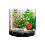 GEXjeks.. вода . бутылка растения milio filler m