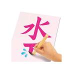  Pilot Швейцария i....for Study какой раз . мочь написать!.. знак введение вода документ . комплект 4977554231159