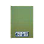 maruman/マルマン ミタント A4 10マイ 480 ライトグ 321-675P