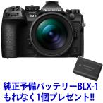 OM SYSTEM オーエムシステム OM-1 Mark II 12-40mm F2.8 PRO II キット　