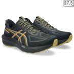 ショッピングゴアテックス asics アシックス 【メンズ】GT-1000 14 ゴアテックス 【ブラック/ダークコバルト】【27.5cm】 1011C078