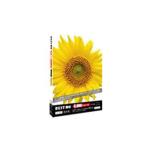 美貴本  BEST素材5000シリーズ vol.001 花の形