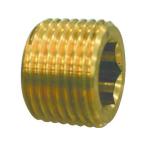 TABUCHItabchiTBC. золотой бобы штекер 13 S-MP