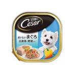 MARS マースジャパンリミテッド シーザー おいしいまぐろ 白身魚・野菜入り 100g