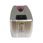 カシムラ  NTI-100　海外用変圧器　110-130V/240VA 220-240V/100VA