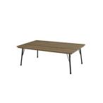 萩原 ハギハラ 天板115×70cm フラットカーボンヒーター おしゃれ 鉄脚 リビングこたつ フェイトBR