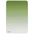 MIYATAKE.. завод пропорция стул коврик 60×90cm зеленый PMT-9060