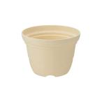 Richell Ricci .ru.... pot 5 номер бежевый 