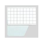 Crown/クラウン 名刺型名札 名刺型 再生PET製 CR-NF21P-T