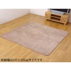 IKEHIKO イケヒコ  水分をはじく 撥水加工カーペット   撥水リラCE  ベージュ 200×300cm 3948139