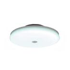 IRIS OHYAMA Iris o-yama[ производитель ограниченное количество товар ]SCL20DMS-UU LED маленький размер изоляция незначительный форма 2000lm днем свет цвет человек чувство сенсор 