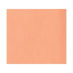 フジイナフキン 【代引不可】オリ