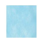 フジイナフキン 【代引不可】オリ