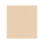 フジイナフキン 【代引不可】オリ