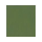 フジイナフキン 【代引不可】オリ