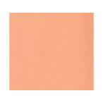 フジイナフキン 【代引不可】オリ