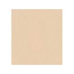 フジイナフキン 【代引不可】オリ