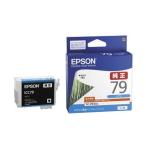 EPSON/エプソン  SC-PX5V2用 インクカー