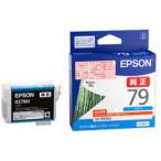 EPSON エプソン  SC-PX5V2用 インクカー