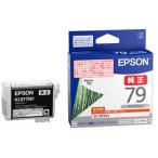 EPSON エプソン  SC-PX5V2用 インクカー