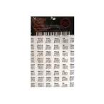 ONE*SWAY гитара код Cross CLOTH-OWGC WHT белый код таблица имеется чистка Cross 