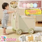 手押し車 赤ちゃん おもちゃ 収納箱 ボックス ベビーウォーカー 歩行練習 歩行器 人形用 キッズワゴン つかまり立ち 押し車 知育玩具 おもちゃ入れ