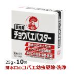 金鳥 業務用チョウバエバスター 25g×10包入 チョウバエ駆除 殺虫 + 排水口の除菌 洗浄 防臭 小バエ発生源対策  粉末タイプ キンチョー